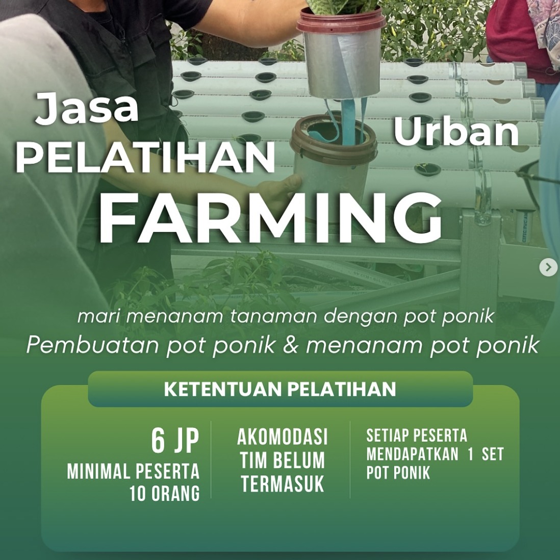 Workshop urban farming
